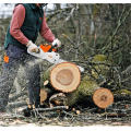 Original Stihl High Power Lithium -Batteriekettensäge